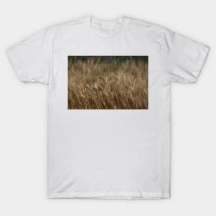 Country Kansas Wheat Field T-Shirt